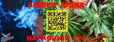 тгк Кингисепп