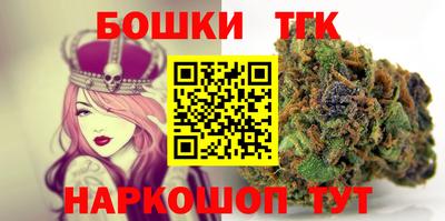тгк Кингисепп
