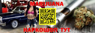 тгк Кингисепп