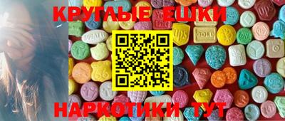 тгк Кингисепп