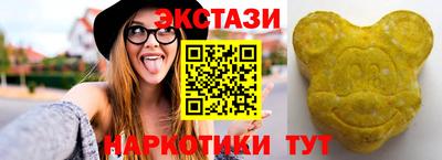 тгк Кингисепп