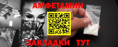 тгк Кингисепп