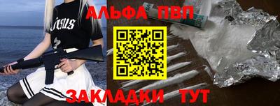 тгк Кингисепп