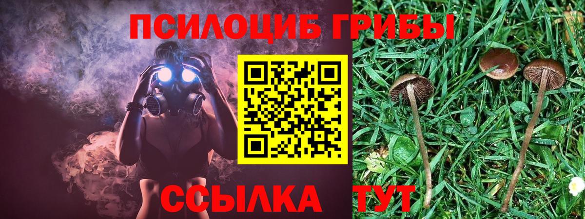 Благовещенск  Псилоцибиновые грибы мицелий  Галлюциногенные грибы Psilocybe  Вход с VPN 